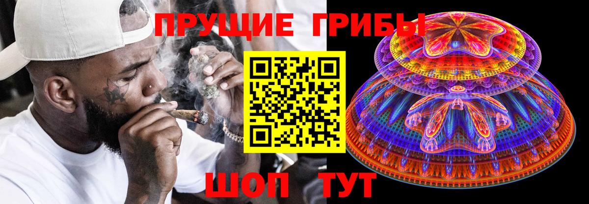 Псилоцибиновые грибы Psilocybine cubensis Гай